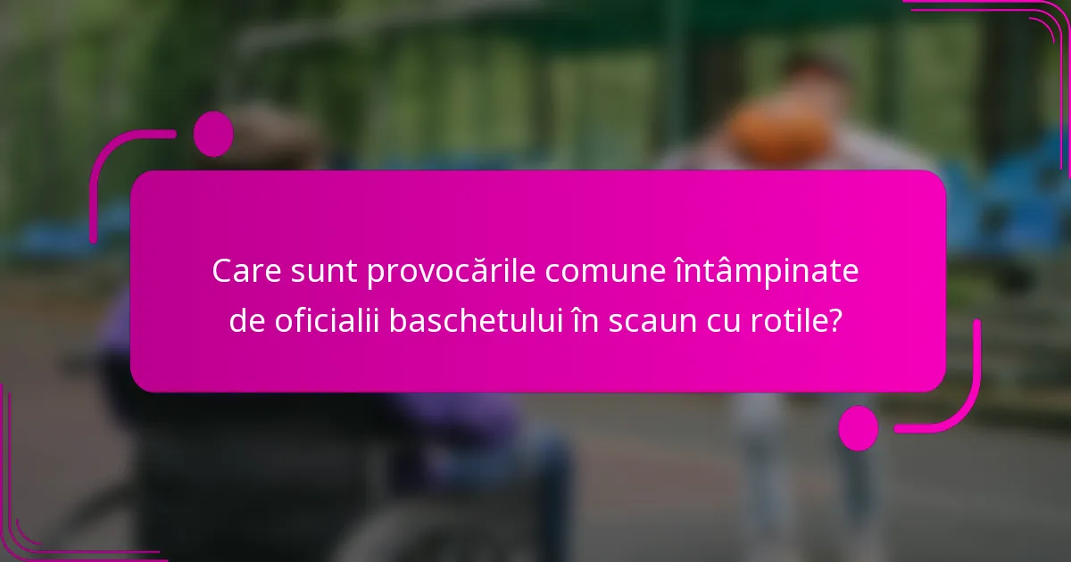 Care sunt provocările comune întâmpinate de oficialii baschetului în scaun cu rotile?