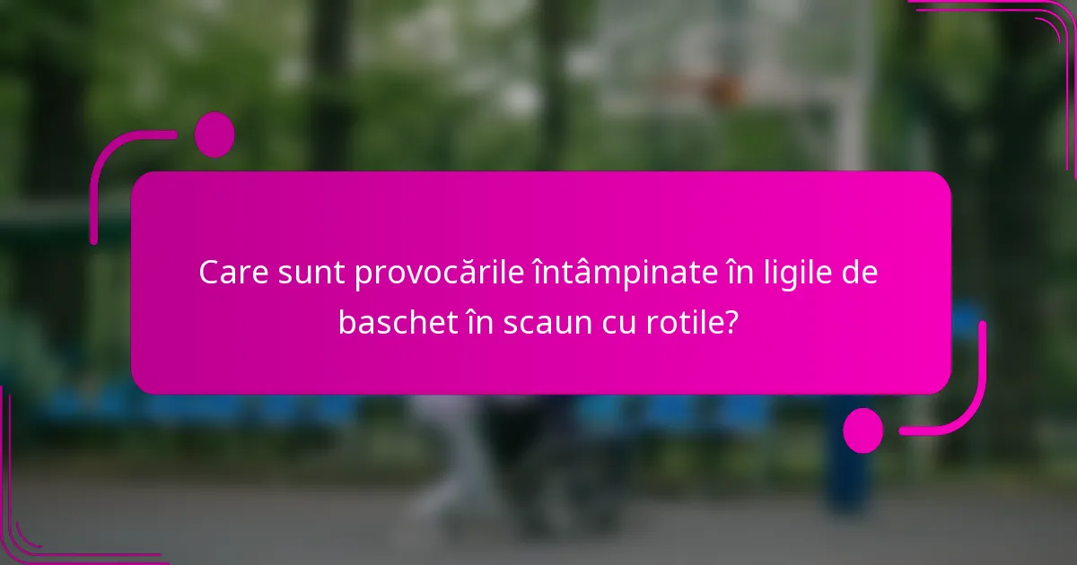 Care sunt provocările întâmpinate în ligile de baschet în scaun cu rotile?