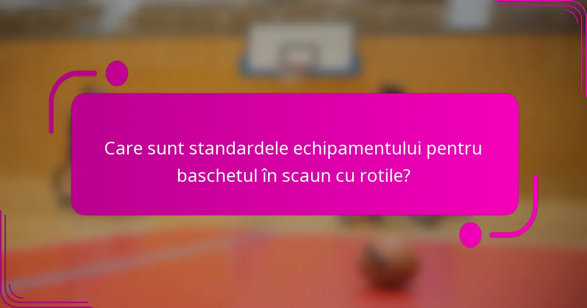 Care sunt standardele echipamentului pentru baschetul în scaun cu rotile?