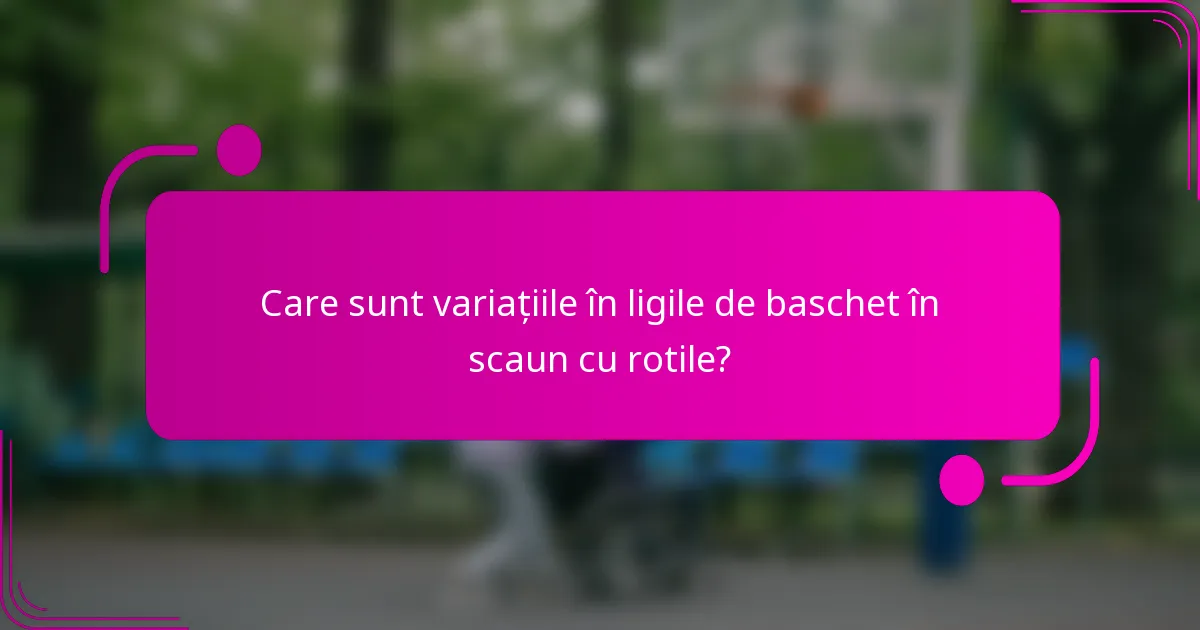 Care sunt variațiile în ligile de baschet în scaun cu rotile?