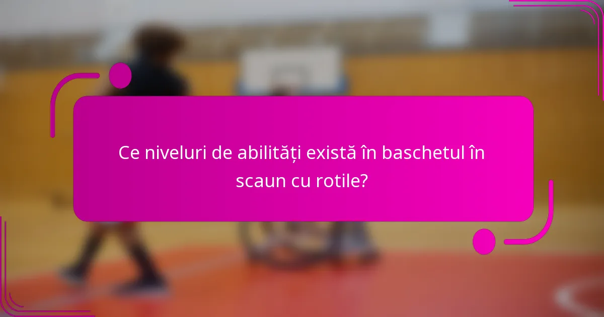 Ce niveluri de abilități există în baschetul în scaun cu rotile?