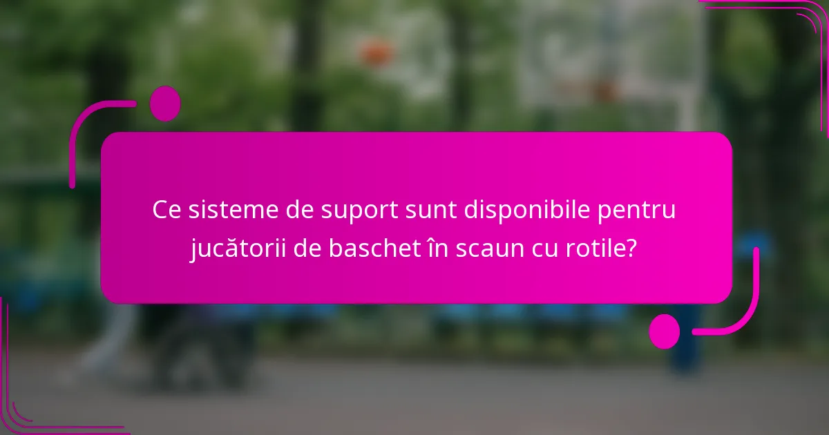 Ce sisteme de suport sunt disponibile pentru jucătorii de baschet în scaun cu rotile?