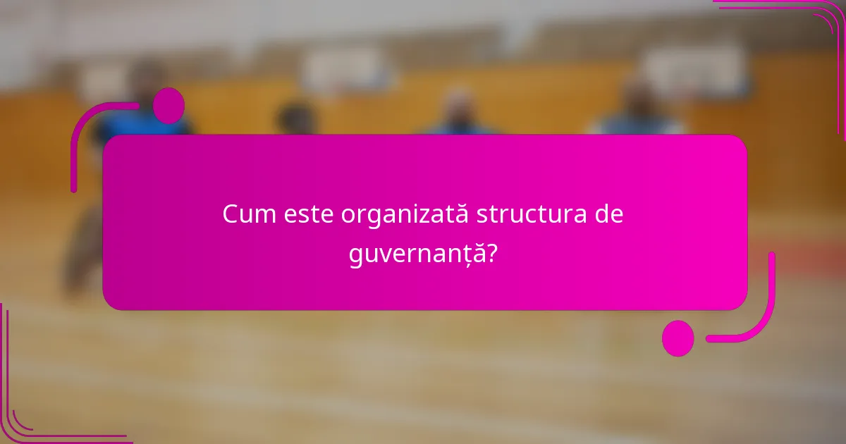 Cum este organizată structura de guvernanță?