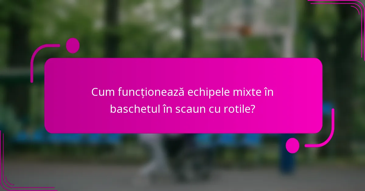 Cum funcționează echipele mixte în baschetul în scaun cu rotile?