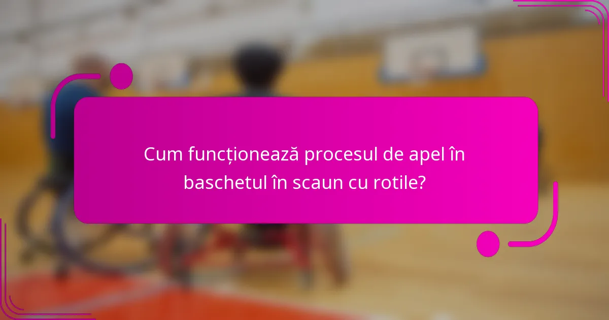 Cum funcționează procesul de apel în baschetul în scaun cu rotile?