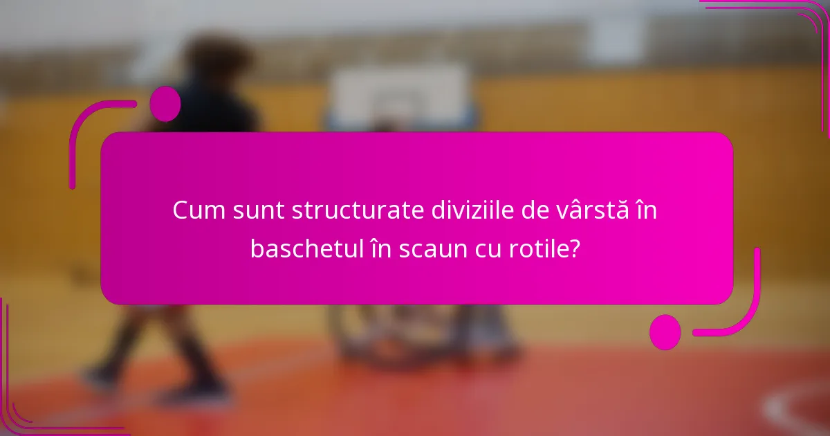 Cum sunt structurate diviziile de vârstă în baschetul în scaun cu rotile?