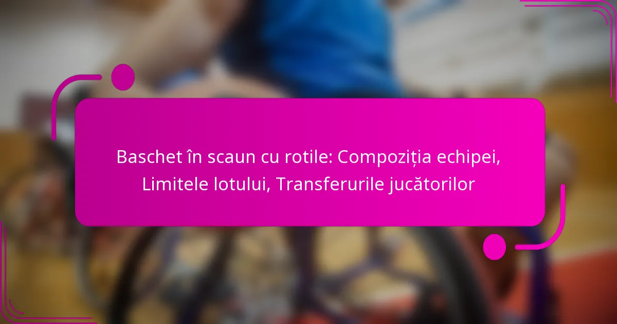 Baschet în scaun cu rotile: Compoziția echipei, Limitele lotului, Transferurile jucătorilor