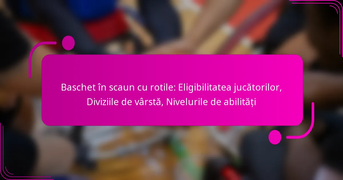 Baschet în scaun cu rotile: Eligibilitatea jucătorilor, Diviziile de vârstă, Nivelurile de abilități