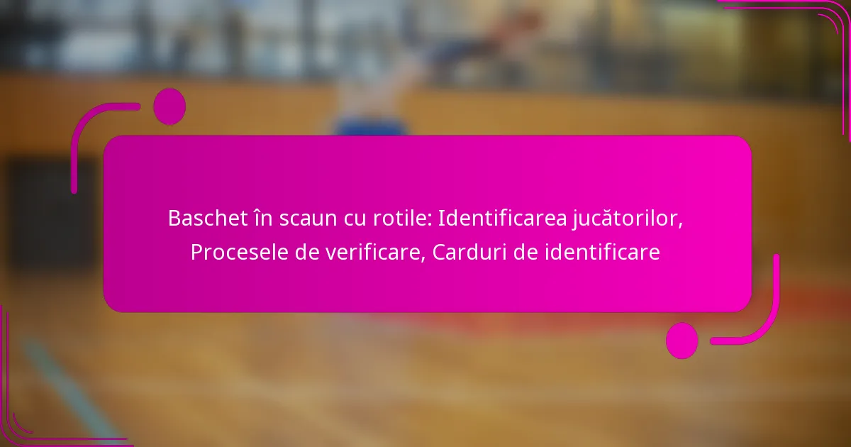 Baschet în scaun cu rotile: Identificarea jucătorilor, Procesele de verificare, Carduri de identificare