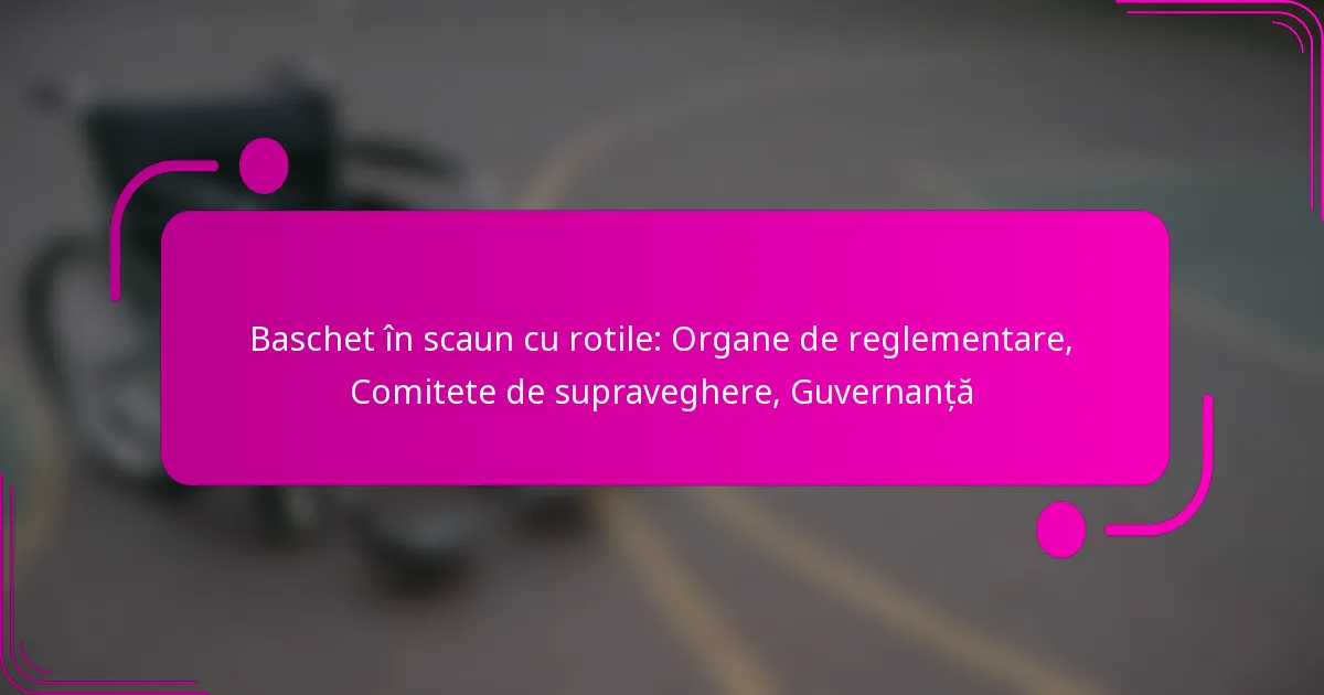 Baschet în scaun cu rotile: Organe de reglementare, Comitete de supraveghere, Guvernanță